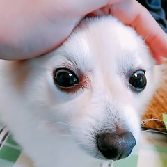 ahokitinano