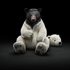 koolbear