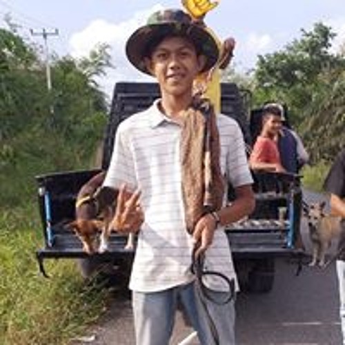 Iwan Fals Siang Seberang Istana Mp3 By Pk 02tiem On Soundcloud Hear The World S Sounds