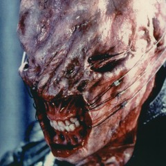 tim-szam-r-fasz-hall