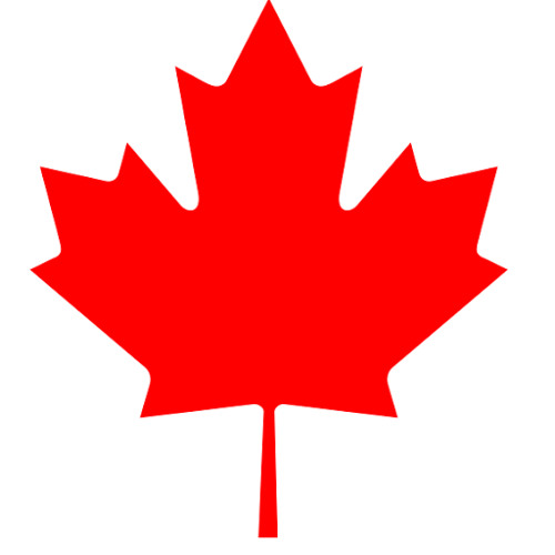 Vinami in Canada’s avatar