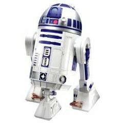 Flr2D2