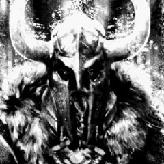 The Crusader "Immaculate"