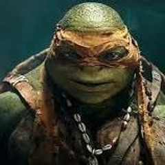 BIG TURTLE