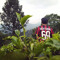 Vicky Puji Setiawan