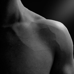 aleecx_flex