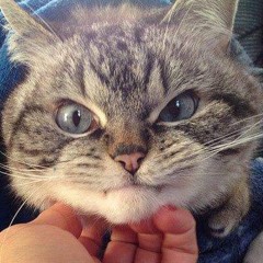 Phạm Thiên Hoàng