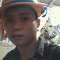 hoangvietchinh27