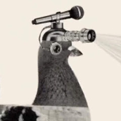 A Literal Pigeon