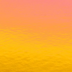 Nothing Stellar / Sojo Honey