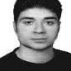 abbas shojaee