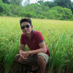 Quoc Nguyen Bao