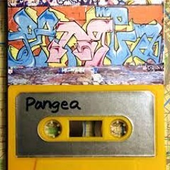 OG PANGEA