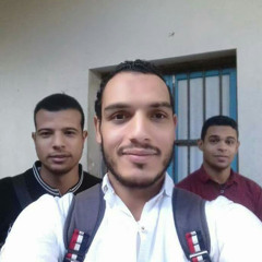 Mohamed Rashwan