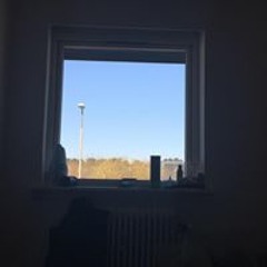 Larsine Amalie Mathiassen