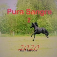 𝕯𝕵 𝕸𝕬𝕽𝕮𝕺𝕾 2020