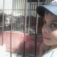 Mohamed Emara