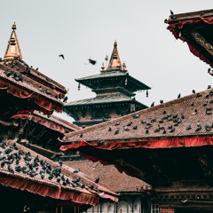 Hasu