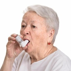 Big Bear Purp #1 Disciple