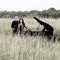 Pianofield