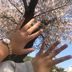 허보영