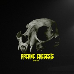 Arcane Exegesis