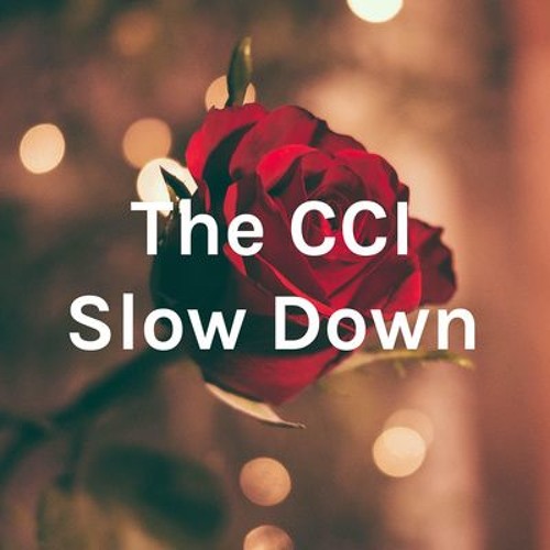 The CCI Slow Down’s avatar
