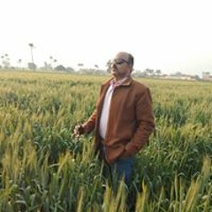 محمد رياض محمود