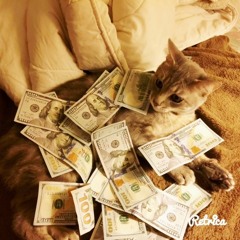 Gato