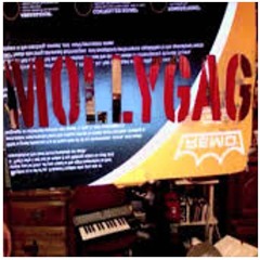 S3RL-Pretty Rave Girl (Mollygag remix)