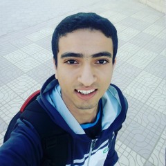 Mohamed Tarek