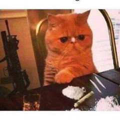 Pull the fucking trigger