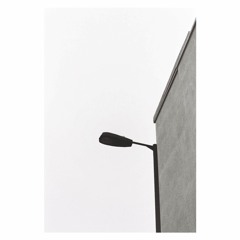 b0gsat the b0ng0 man