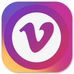 vidstatus
