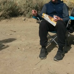 tekktonik (sharknado records)