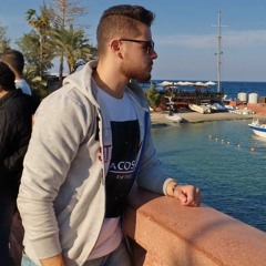 Hosam Sedawy 1