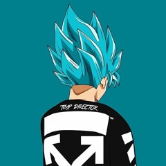 TRAP DIRECTOR