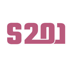 S201