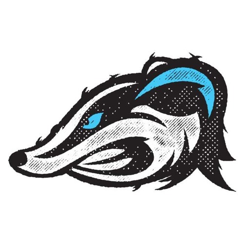 blueskinbadger’s avatar