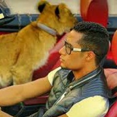 فديوهات متنوعة