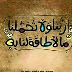 mohamed elbohy
