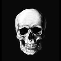 𝔉𝔩𝔬𝔴 ℨ