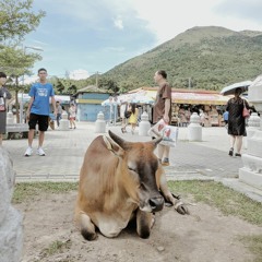 Ahmad Farhan Nugraha