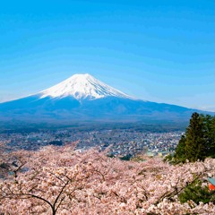 Mt Fuji Records