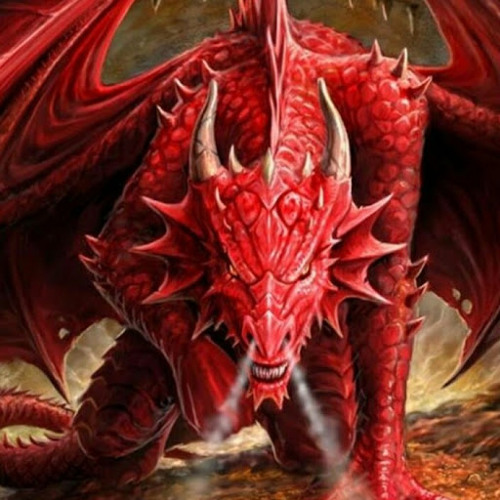 dragon boy’s avatar