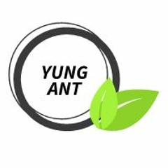 YUNG ANT