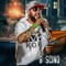 B SCINO