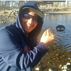 Dons adventures