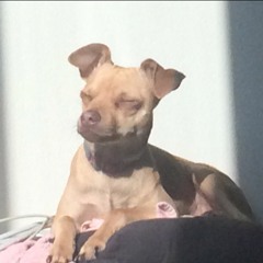 Sik0Simmons' Hidden Levels Podcast