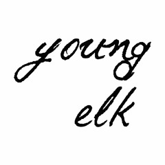 Young Elk